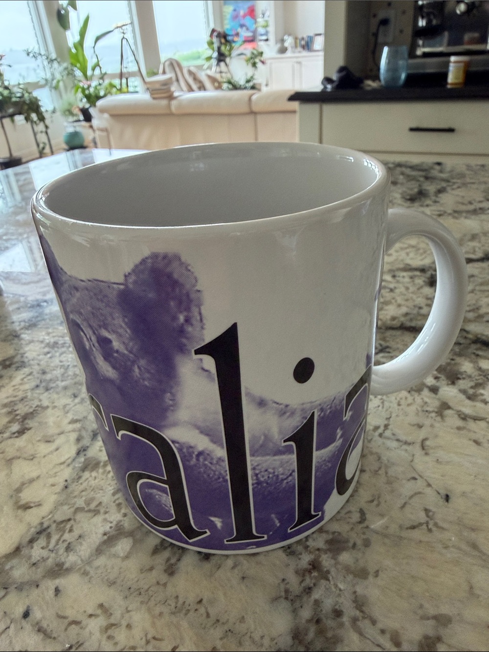 Starbucks White and Purple Ceramic Mug with Large Text and Koala Art